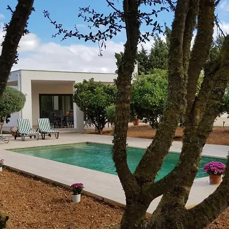 Son Drago - #124305 Holiday home *